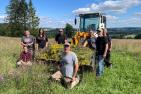 Eine Gruppe von Landwirten reißt im MoNaKo-Projekt Jakobskreuzkraut im Westerwaldkreis aus. 