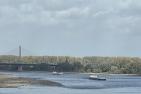 Niedrigwasser auf dem Rhein bei Bonn