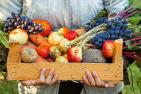 Obst- und Gemüseernte 2025