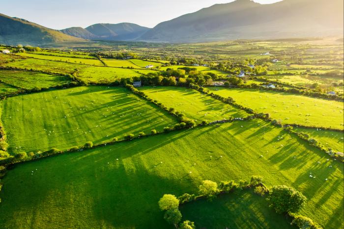 Irland übernimmt EU-Ratsvorsitz bis Ende 2026 mit Priorität „Stärke durch Einheit“