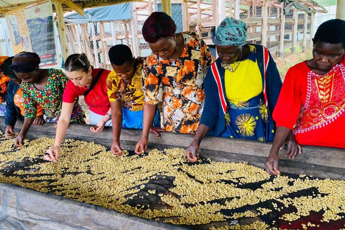 CoffeeXchange: Wie junge Landwirtinnen und Landwirte den Kaffeehandel fairer denken