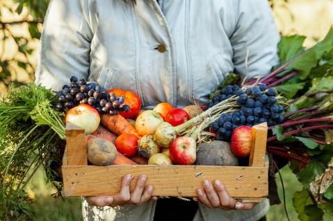 Eine Frau hält eine Kiste mit frischen Obst und Gemüse in den Armen