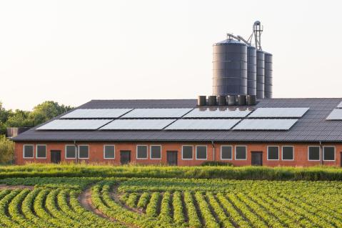 Umsetzung der Industrieemissionsrichtlinie Schweinestall