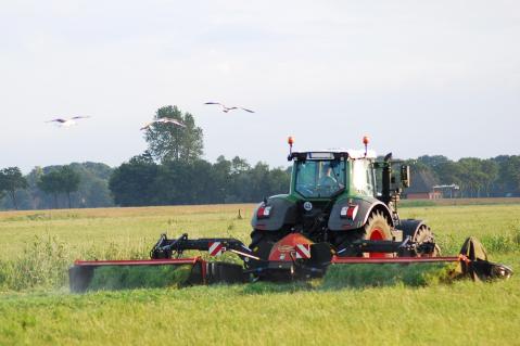 Ein Traktor schneidet Gras