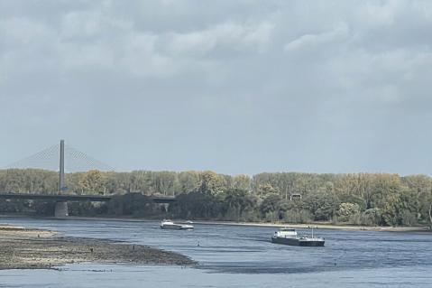 Niedrigwasser auf dem Rhein bei Bonn