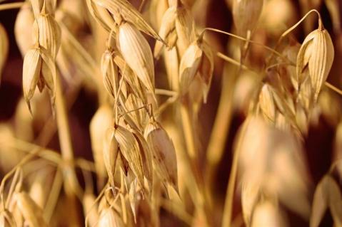 Öko-Umsatz konsolidiert sich in 2023