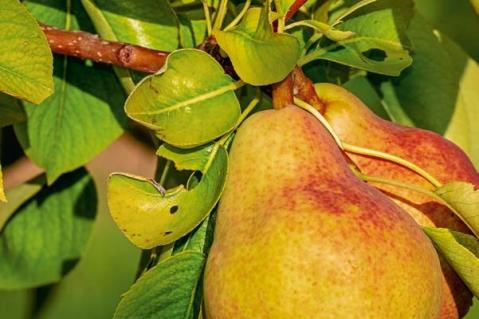 Ein mehr als herausforderndes Jahr