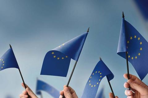 Europa vor der Wahl!