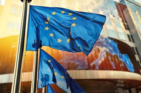 Parlament als Korrektiv in der Landwirtschafts- und Umweltpolitik