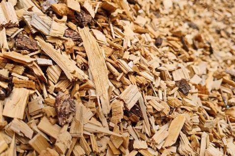 Ohne Holz keine Wärmewende