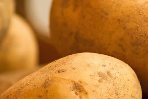 Frühkartoffelsaison: von Euphorie bis Enttäuschung