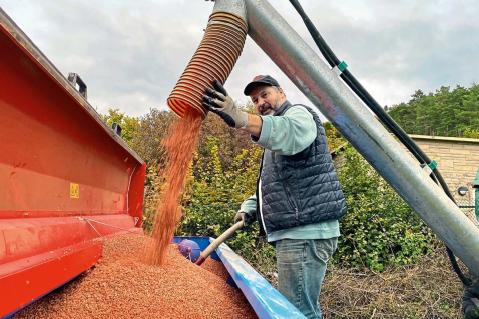 Das Saatgut muss es richten!