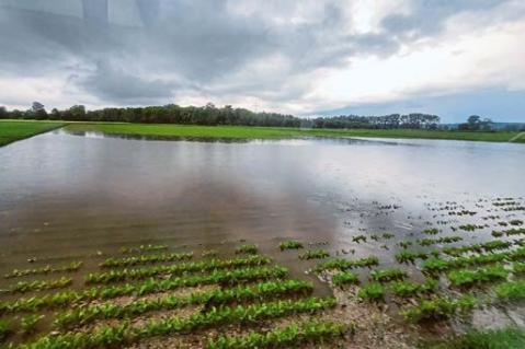 Witterungsschäden 2024