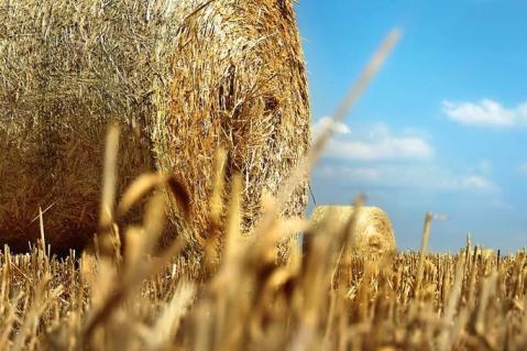 Erneut ein Jahr der Extreme