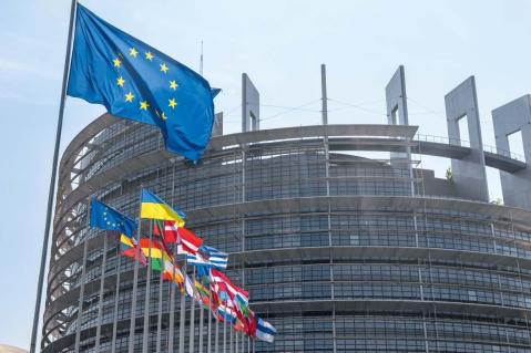 Europawahlen 2024: Wahlausgang und Konstituierung des neuen Europäischen Parlaments