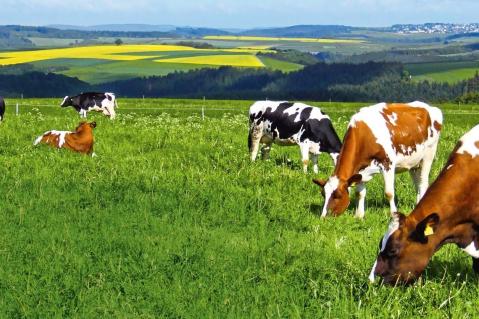 Nach Allzeithoch regelrechter Einbruch