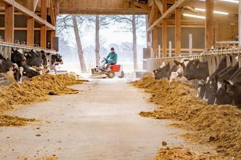 Milchmarkt 2024: alles in Butter!?