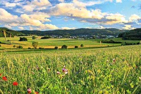 Wie setzen die Landwirte Direktzahlungen und Ökoregelungen um?