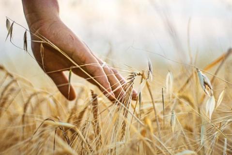 Zukunft der Gemeinsamen Europäischen Agrarpolitik