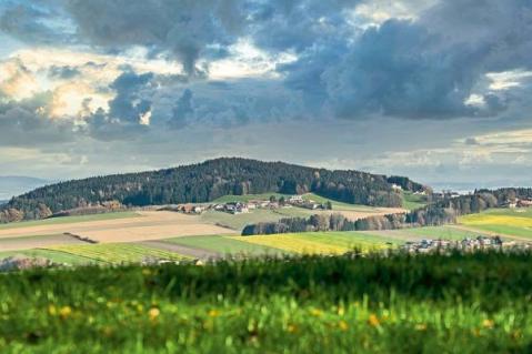 Ländlicher Raum und Agrarstrukturpolitik