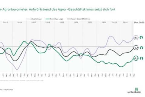 Märkte und Neuwahl treiben die Stimmung