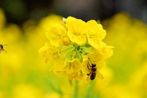 Bauernverband fordert Kooperation statt Ordnungsrecht