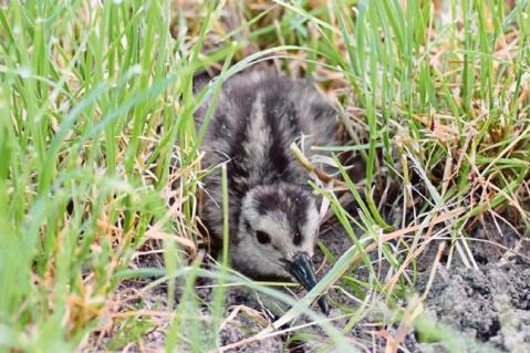 Halbzeit im MoNaKo-Projekt
