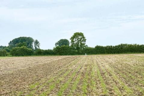 Die Demoflächen im HumusKlimaNetz