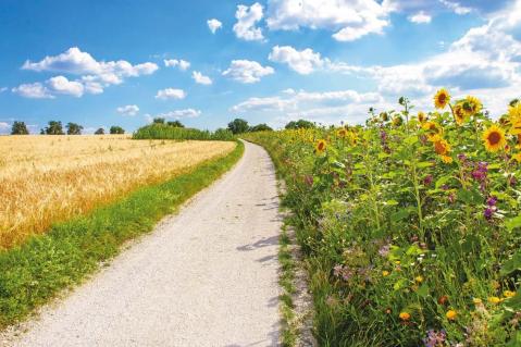 Was erwarten Sie umweltpolitisch von der neuen Bundesregierung?