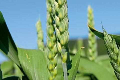 Weitere Erleichterungen müssen kommen!