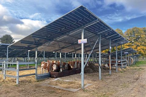 Hängepartie bei Solarpaket I und Biomassepaket