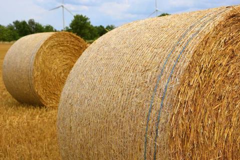 Was strebt die EU-Kommission für das Risikomanagement an?