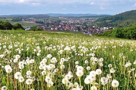 Unternehmertum und Innovation auf dem Land