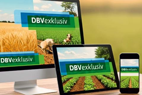 Fotos von DBVexklusiv