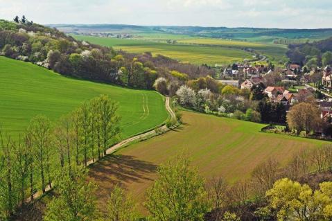 Landwirtschaft und ländliche Räume haben Vorrang