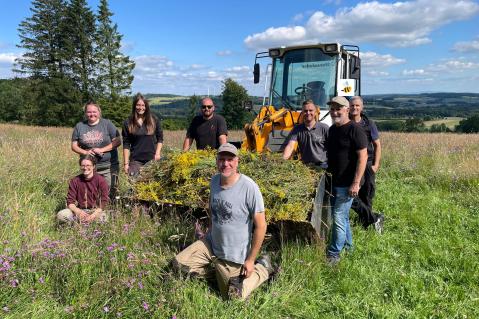Eine Gruppe von Landwirten reißt im MoNaKo-Projekt Jakobskreuzkraut im Westerwaldkreis aus. 