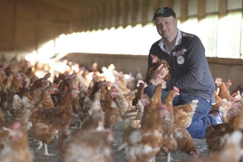 Bodenhaltung von Hühnern mit Landwirt