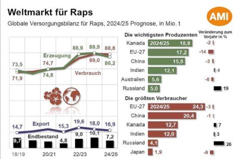 Ölsaatenmarkt 2024/25