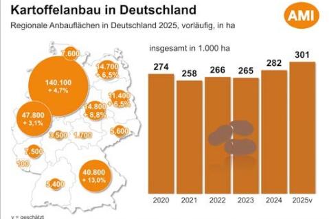 Frühkartoffeln 2025