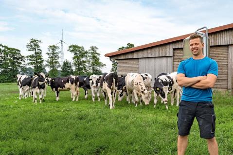 Junglandwirt vor einer Rinderherde auf der Weide. 