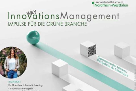 Von der Idee zur Praxis: Innovationsmanagement als Brückenbauer