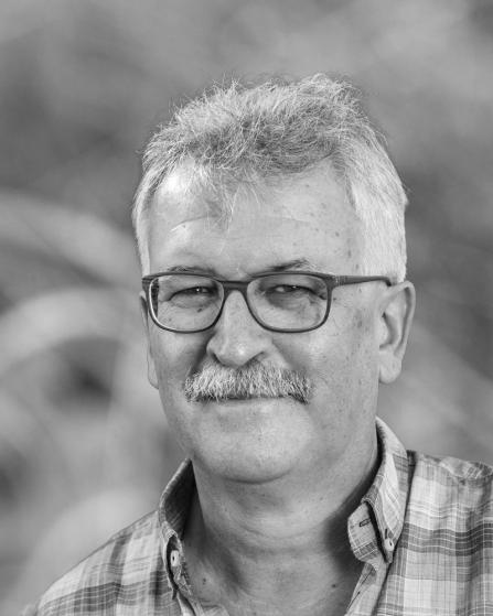 Portraitfoto von Prof. Dr. Josef Settele