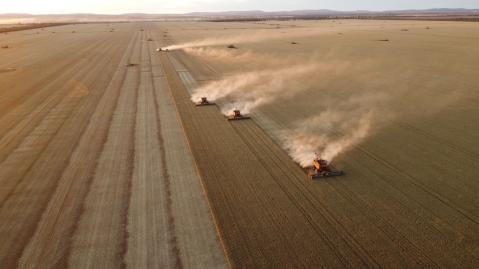 Ackerbau in Australien