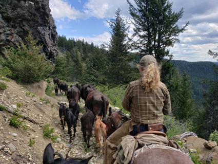 Mischbetriebe Kanada