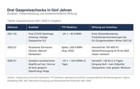 Tabelle des Gaspreisschock 2021-2026