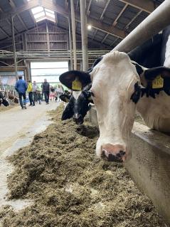 Stalleinsichten beim TdoH auf dem Biohof Stövesandt in Hagen in Niedersachsen